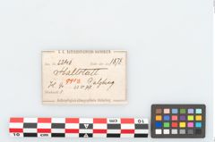 Etikett zu Eisenmesser (NHMW-PRAE-002246)